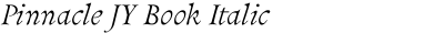 Pinnacle JY Book Italic
